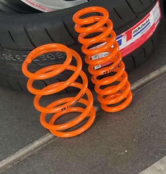 ZF Performance lowering springs